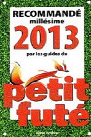 Petit Futé 2013