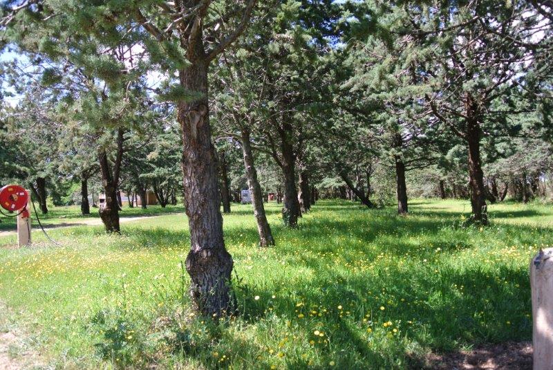 Camping grounds