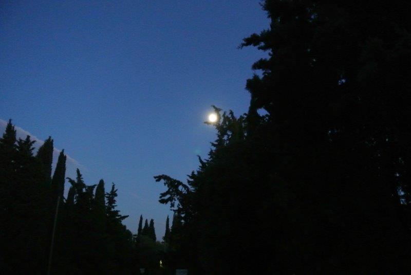 Clairac moonlight
