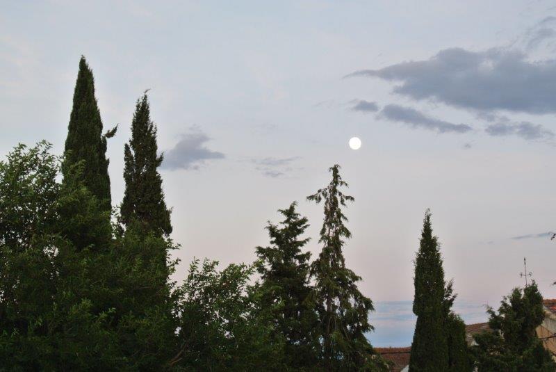 Clairac moonlight