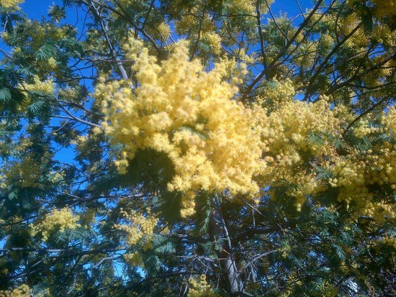 Clairac in springtime