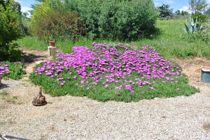 Clairac in springtime