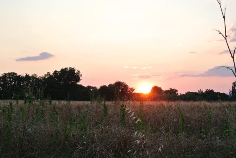 Sun rise at Clairac