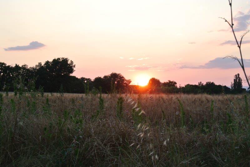 Sun rise at Clairac