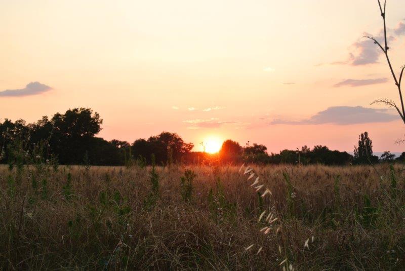 Sun rise at Clairac