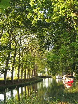 Canal du Midi aug 2011.jpg