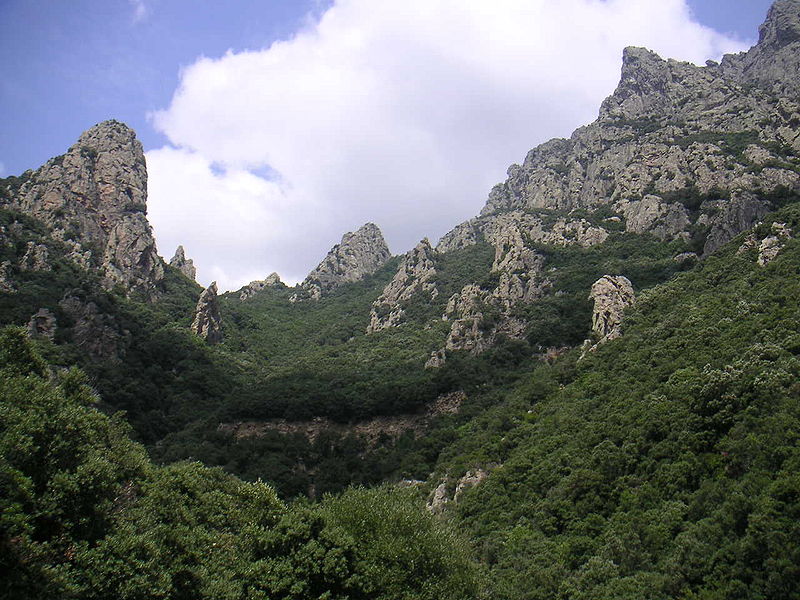 File:Gorges d'Héric-Minarets.jpg